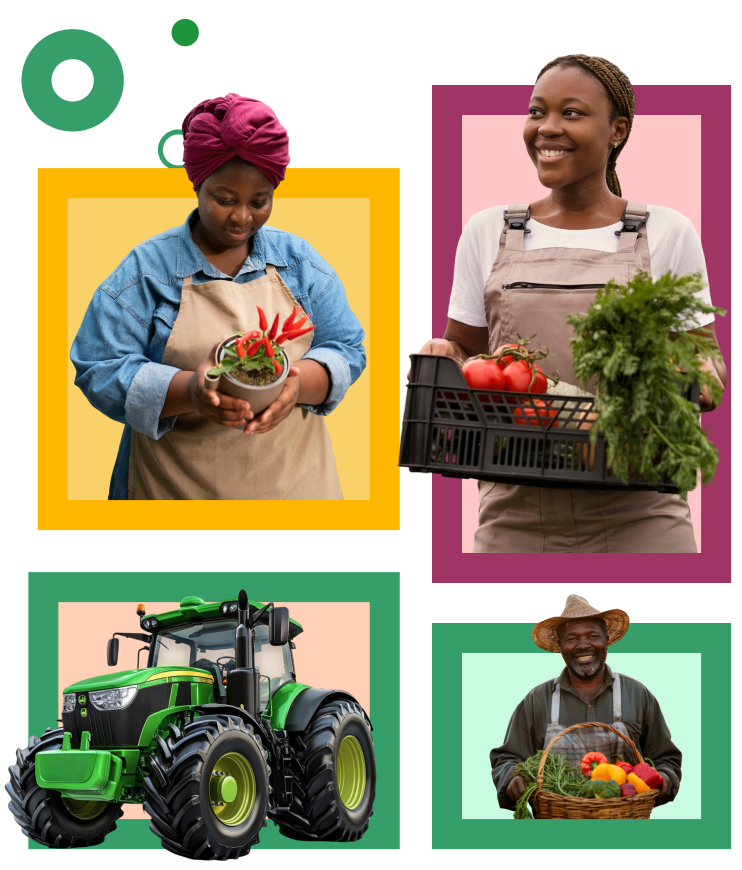 Climate Risk Management Platform